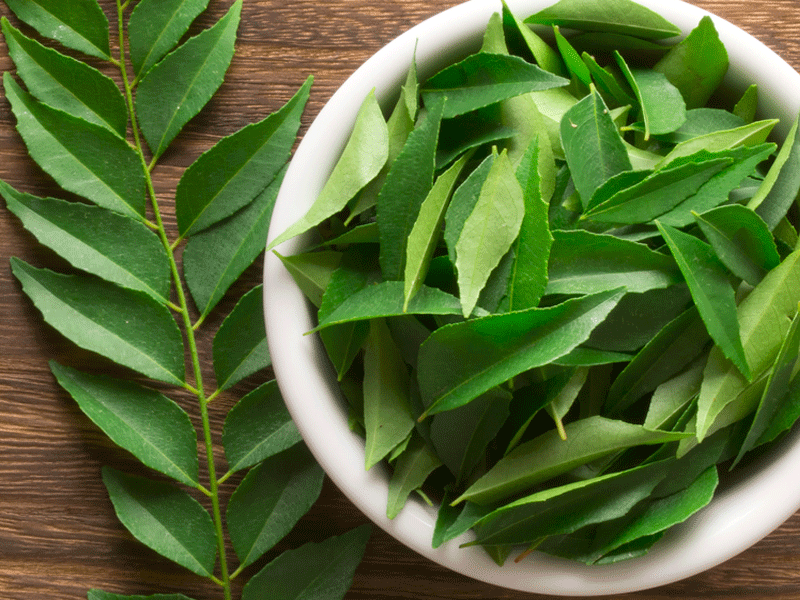 curry-leaves-1